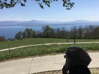 2017-04-23 15-05-59 b875015e  pondering the nature of things